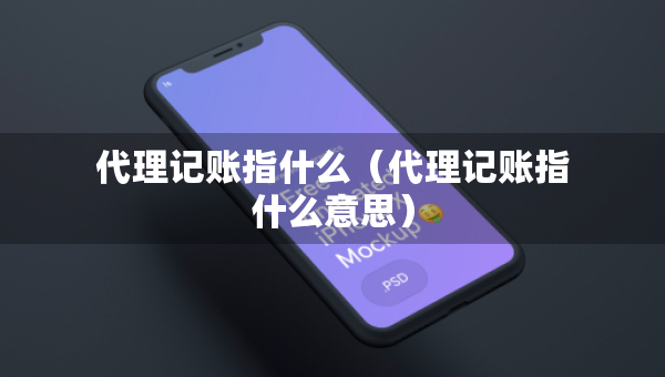 代理记账指什么（代理记账指什么意思）