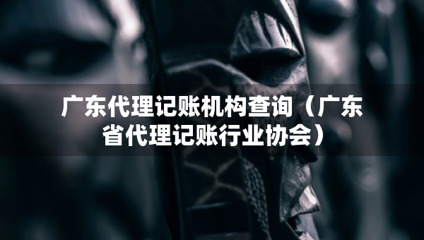 广东代理记账机构查询（广东省代理记账行业协会）