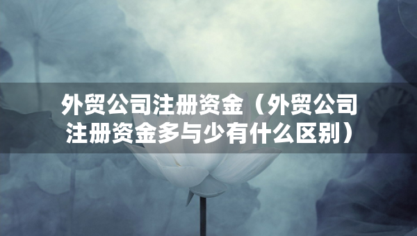 外贸公司注册资金（外贸公司注册资金多与少有什么区别）