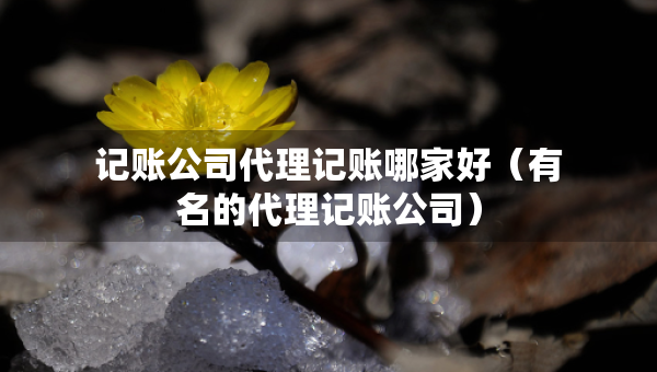 记账公司代理记账哪家好（有名的代理记账公司）