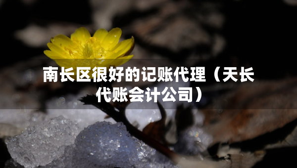 南长区很好的记账代理（天长代账会计公司）