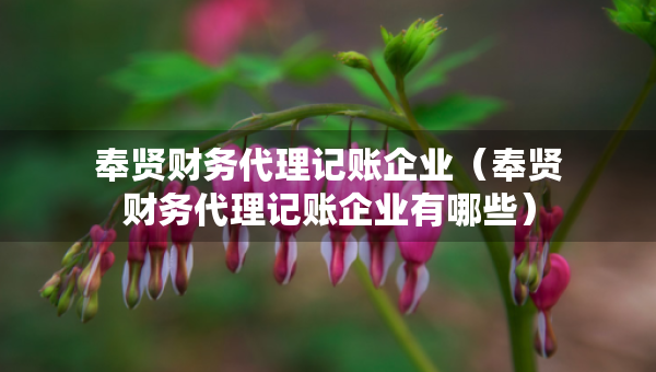 奉贤财务代理记账企业（奉贤财务代理记账企业有哪些）