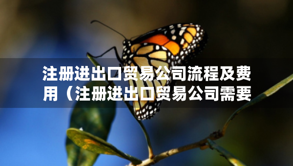 注册进出口贸易公司流程及费用（注册进出口贸易公司需要多少注册资金）