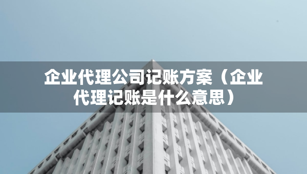 企业代理公司记账方案（企业代理记账是什么意思）