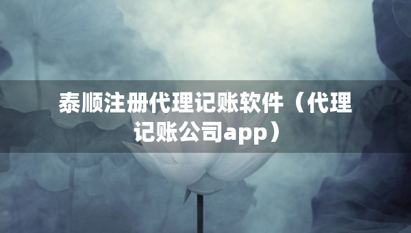 泰顺注册代理记账软件（代理记账公司app）