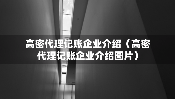 高密代理记账企业介绍（高密代理记账企业介绍图片）