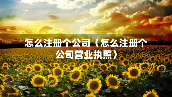 怎么注册个公司（怎么注册个公司营业执照）