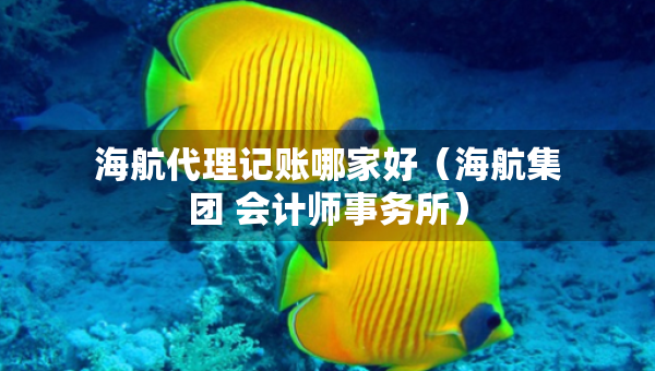 海航代理记账哪家好（海航集团 会计师事务所）