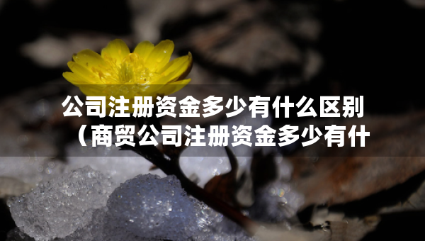 公司注册资金多少有什么区别（商贸公司注册资金多少有什么区别）