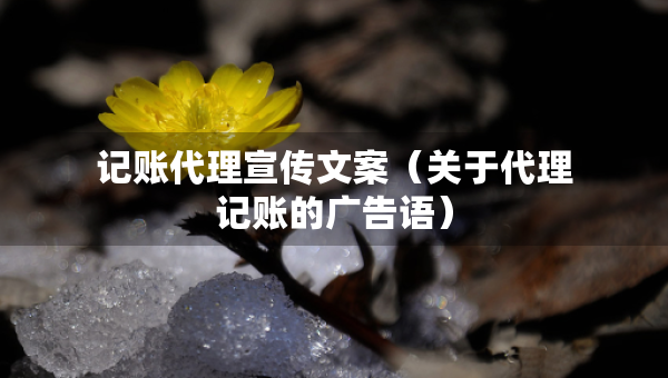 记账代理宣传文案（关于代理记账的广告语）