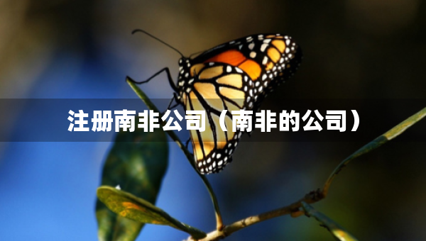 注册南非公司（南非的公司）