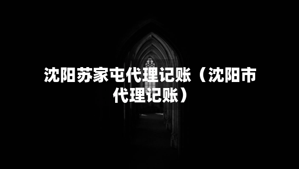 沈阳苏家屯代理记账（沈阳市代理记账）