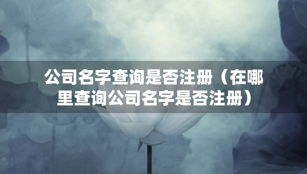 公司名字查询是否注册（在哪里查询公司名字是否注册）