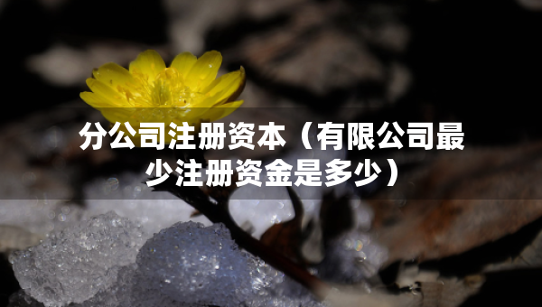 分公司注册资本（有限公司最少注册资金是多少）