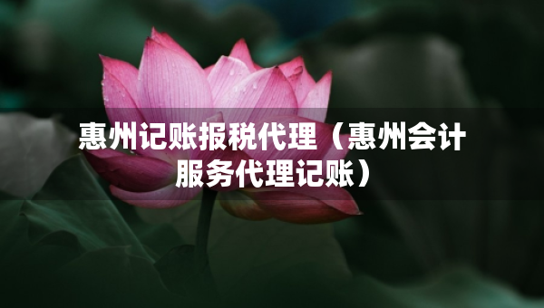 惠州记账报税代理（惠州会计服务代理记账）