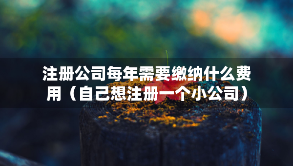 注册公司每年需要缴纳什么费用（自己想注册一个小公司）