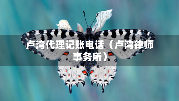 卢湾代理记账电话（卢湾律师事务所）