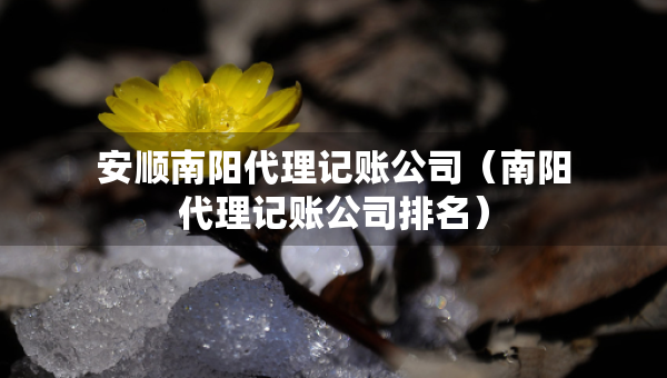 安顺南阳代理记账公司（南阳代理记账公司排名）