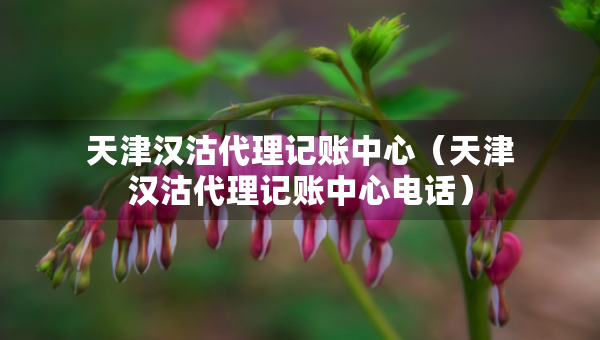 天津汉沽代理记账中心（天津汉沽代理记账中心电话）