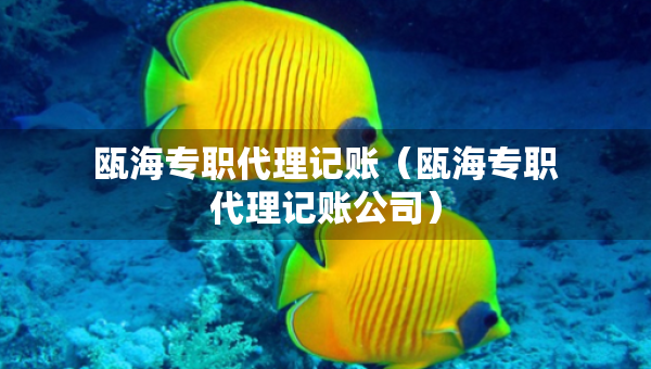 瓯海专职代理记账（瓯海专职代理记账公司）