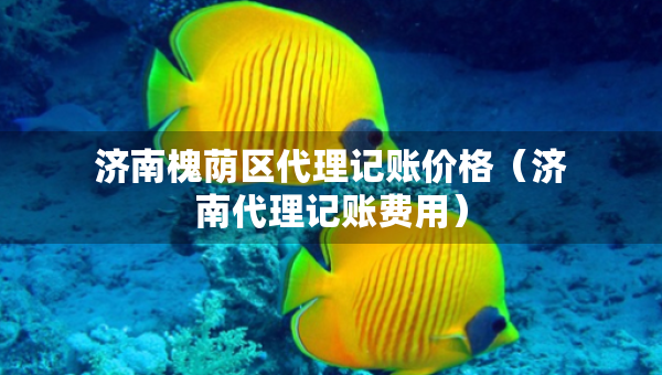 济南槐荫区代理记账价格（济南代理记账费用）