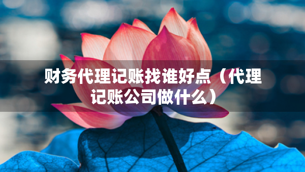 财务代理记账找谁好点（代理记账公司做什么）