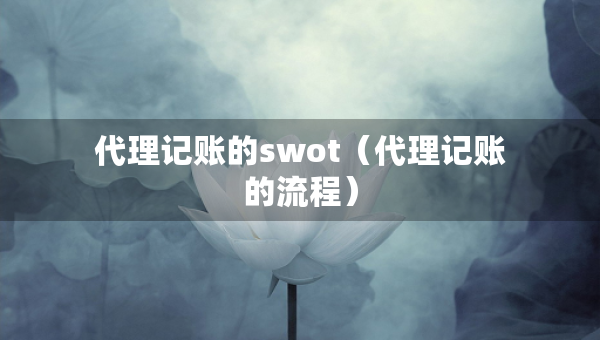 代理记账的swot（代理记账的流程）