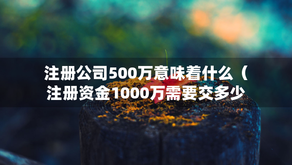 注册公司500万意味着什么（注册资金1000万需要交多少钱）