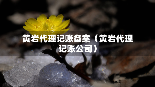 黄岩代理记账备案（黄岩代理记账公司）