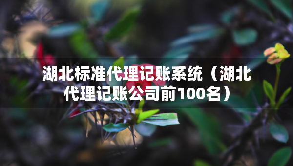 湖北标准代理记账系统（湖北代理记账公司前100名）