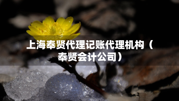 上海奉贤代理记账代理机构（奉贤会计公司）