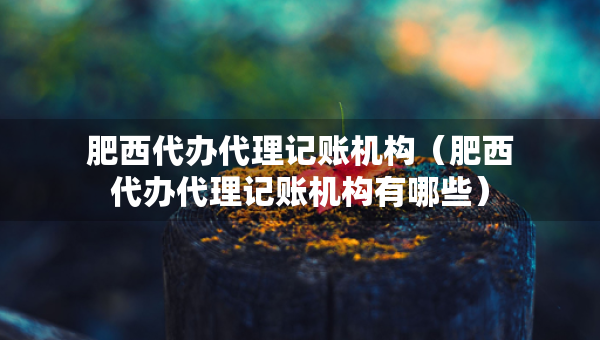 肥西代办代理记账机构（肥西代办代理记账机构有哪些）