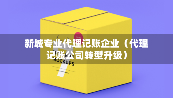 新城专业代理记账企业（代理记账公司转型升级）