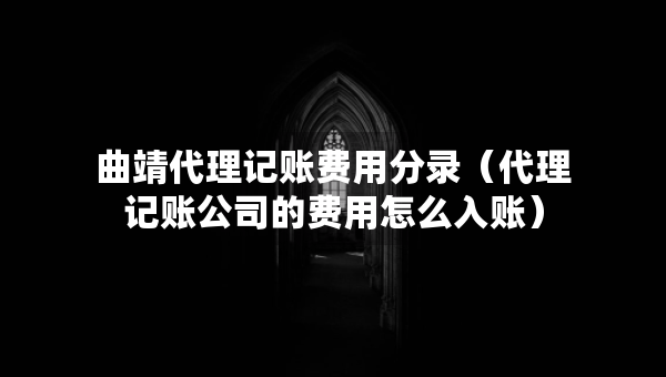 曲靖代理记账费用分录（代理记账公司的费用怎么入账）