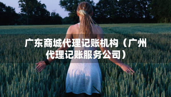 广东商城代理记账机构（广州代理记账服务公司）