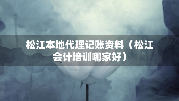 松江本地代理记账资料（松江会计培训哪家好）