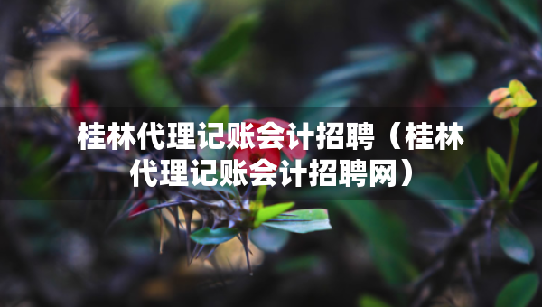 桂林代理记账会计招聘（桂林代理记账会计招聘网）