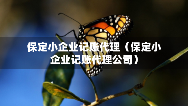 保定小企业记账代理（保定小企业记账代理公司）