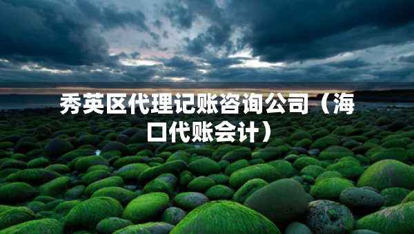 秀英区代理记账咨询公司（海口代账会计）