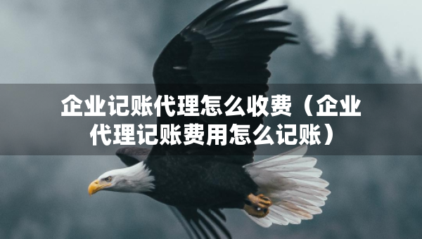 企业记账代理怎么收费（企业代理记账费用怎么记账）