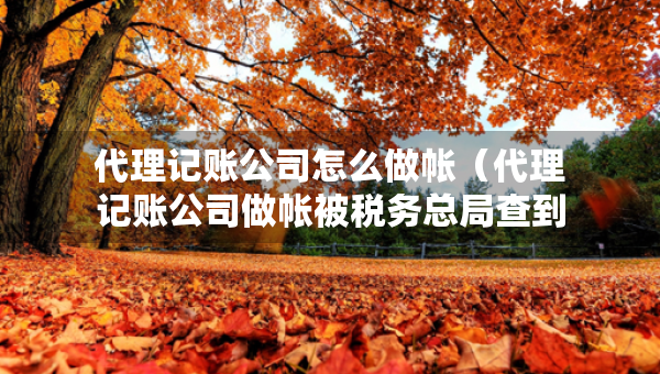 代理记账公司怎么做帐（代理记账公司做帐被税务总局查到）