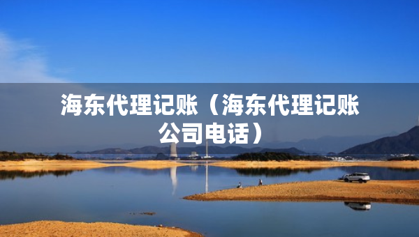 海东代理记账（海东代理记账公司电话）