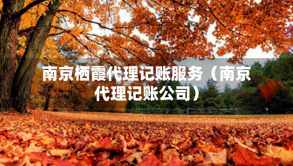 南京栖霞代理记账服务（南京代理记账公司）