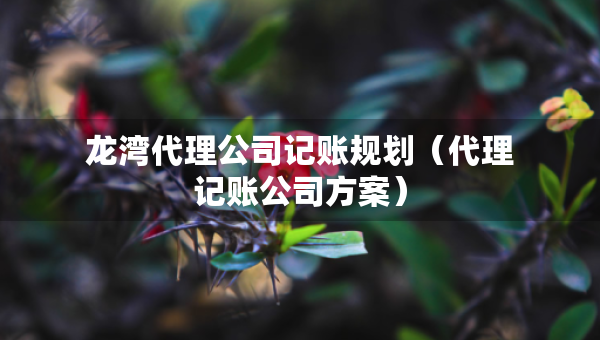 龙湾代理公司记账规划（代理记账公司方案）