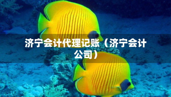 济宁会计代理记账（济宁会计公司）