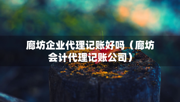 廊坊企业代理记账好吗（廊坊会计代理记账公司）