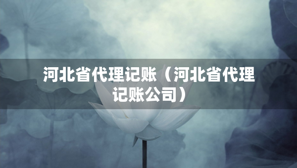 河北省代理记账（河北省代理记账公司）