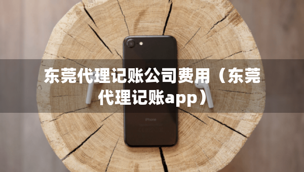 东莞代理记账公司费用（东莞代理记账app）