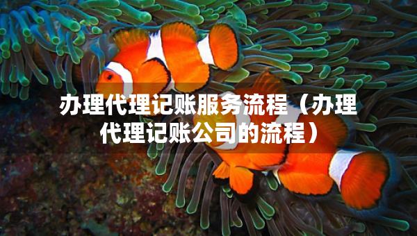 办理代理记账服务流程（办理代理记账公司的流程）