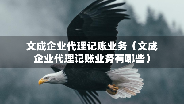 文成企业代理记账业务（文成企业代理记账业务有哪些）